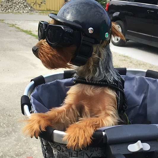 Casco y gafas de moto para perros