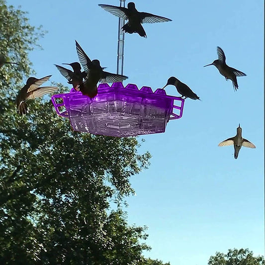 Mangeoire pour colibris à l'épreuve des fourmis, perchoir suspendu d'extérieur