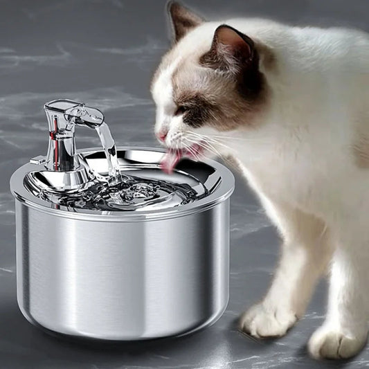 Fontaine à eau pour chat en acier inoxydable avec filtre et capteur