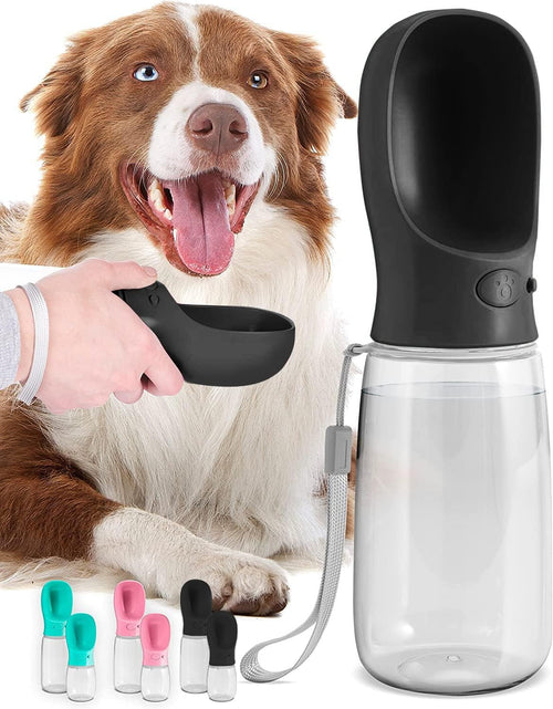 Bouteille d'eau portative de 19 oz pour chiens