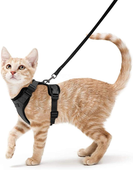 Arnés para gatos a prueba de escapes