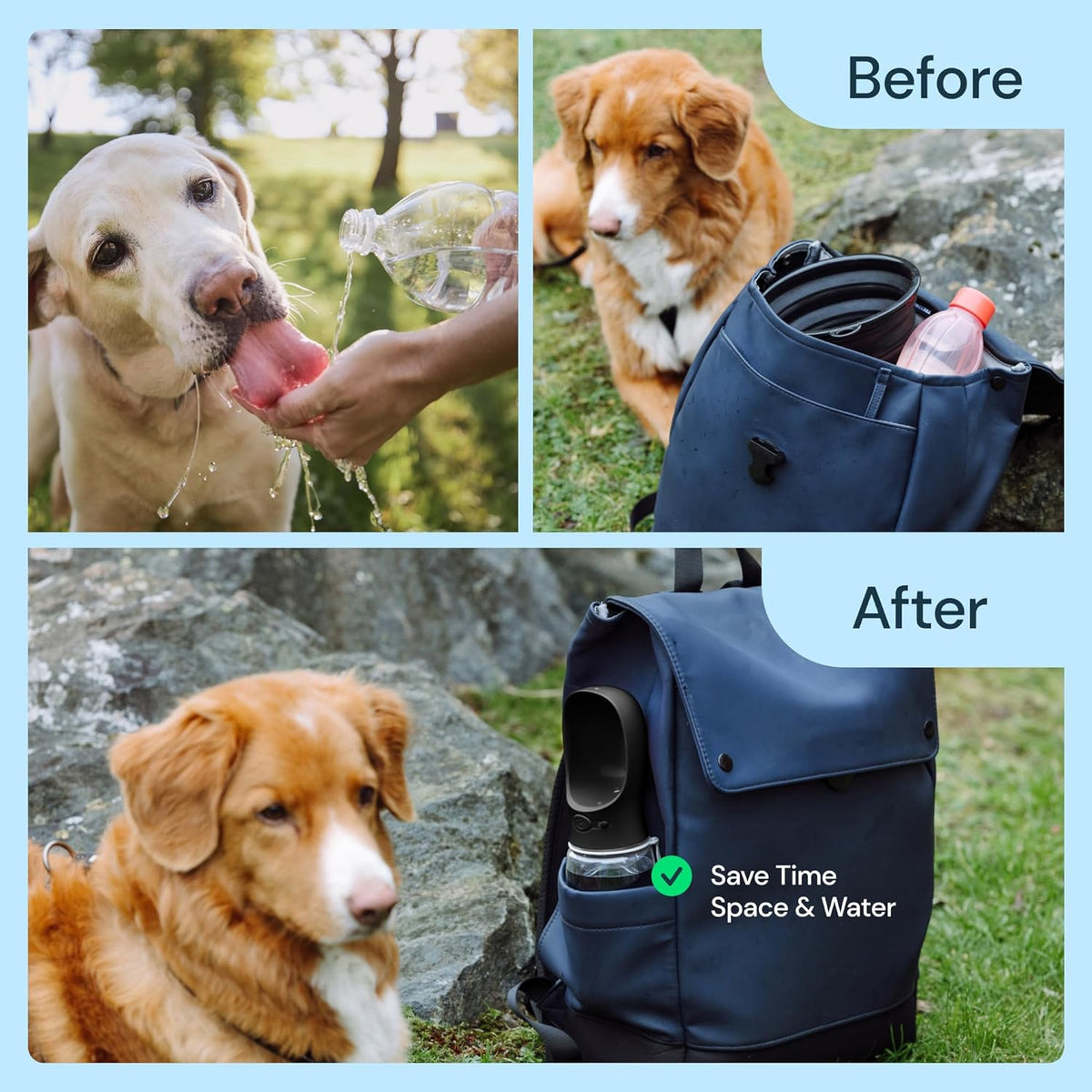 Bouteille d'eau portative de 19 oz pour chiens