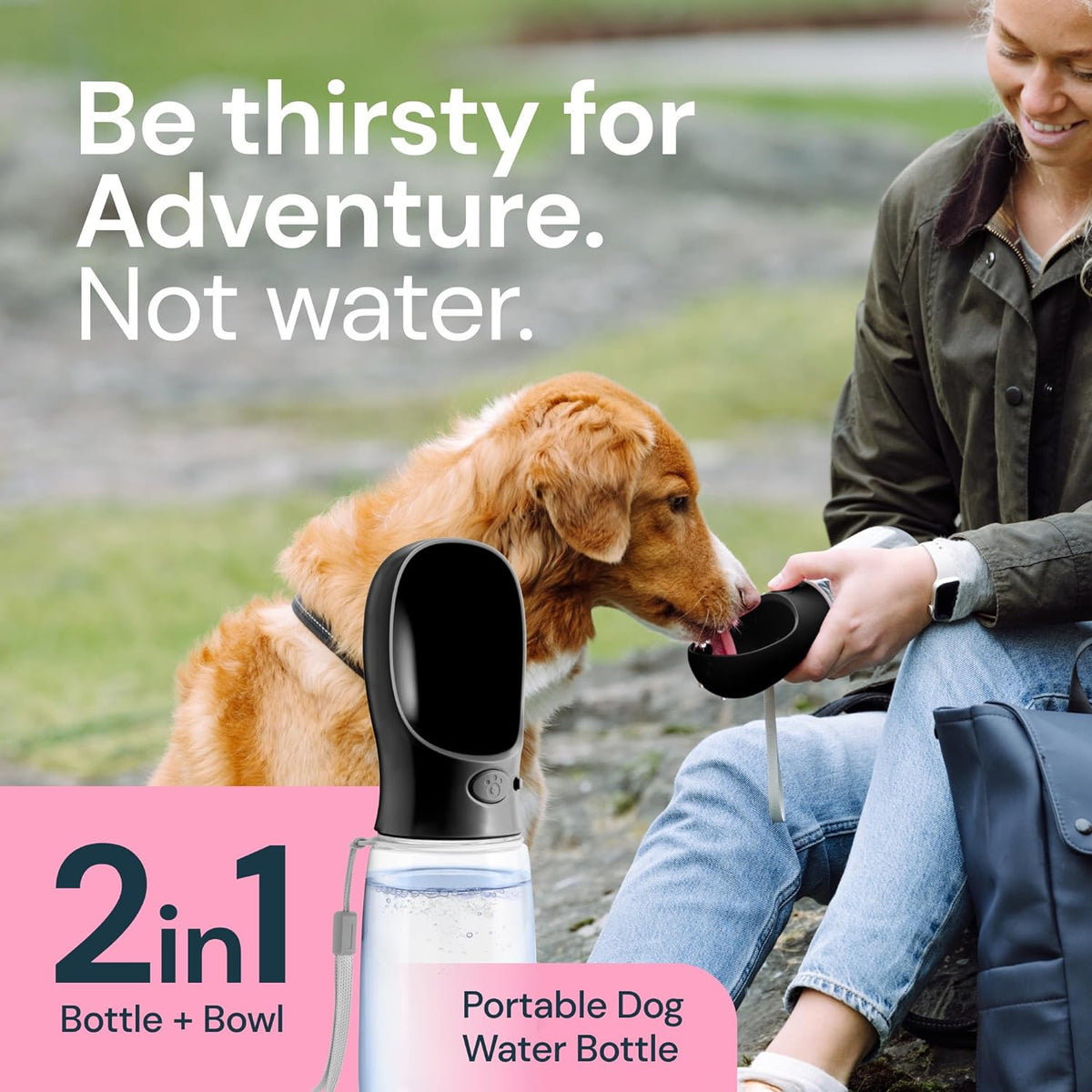Bouteille d'eau portative de 19 oz pour chiens
