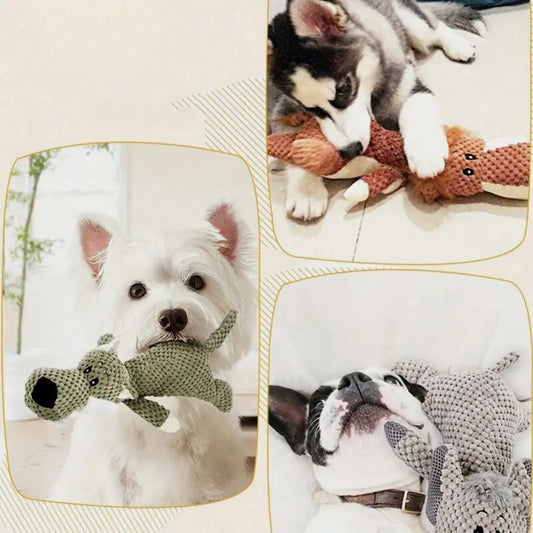 Juguete duradero para perros.
