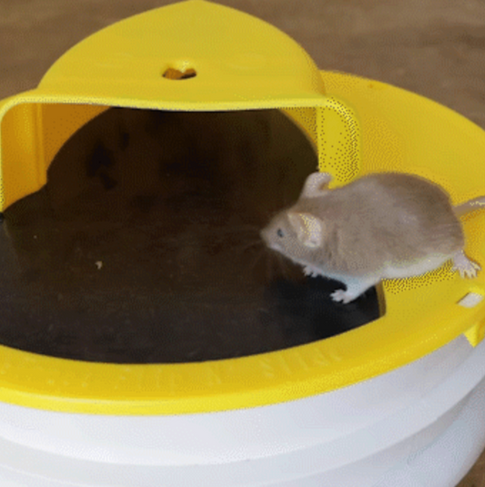 Piège à souris avec couvercle de seau haut de gamme