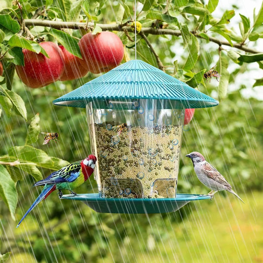 Mangeoire à oiseaux suspendue avec distributeur automatique de graines