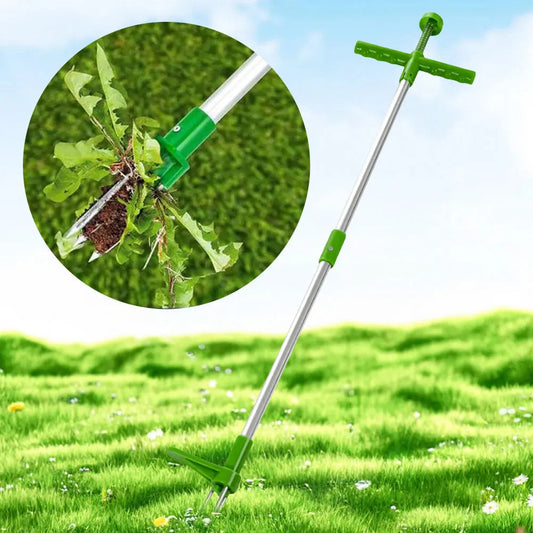Outil d'extraction de mauvaises herbes à long manche avec pédale et conception de griffes