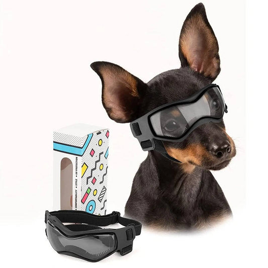 Gafas para perros