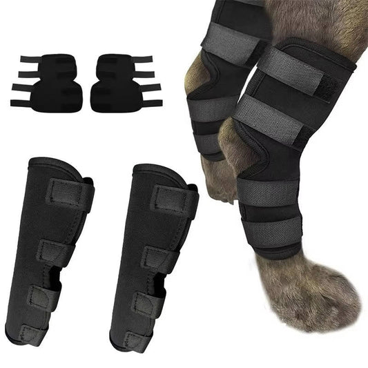 Appareils orthopédiques pour chiens