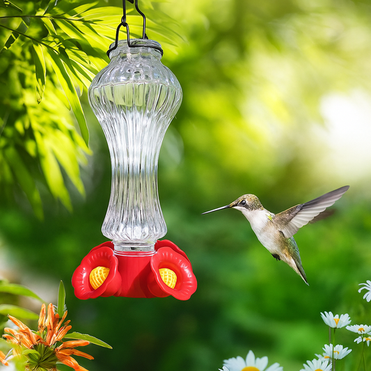 Mangeoire à colibris en verre avec douves de fourmis