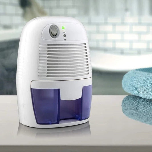 Déshumidificateur portatif puissant de maison de vide sanitaire de garage de mini sous-sol