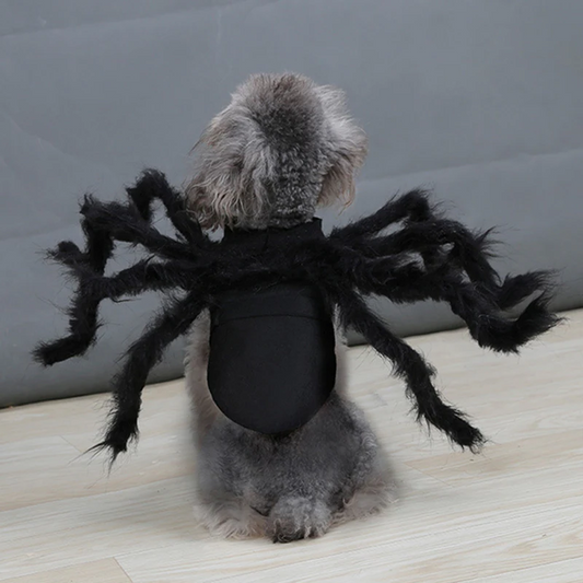 Disfraz de araña divertido para mascota