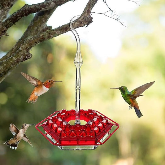 Mangeoire pour colibris à l'épreuve des fourmis, perchoir suspendu d'extérieur