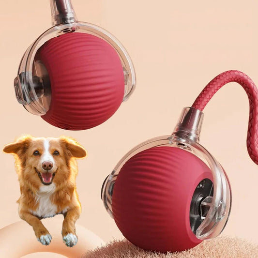 Balle roulante active avec queue pour chiens