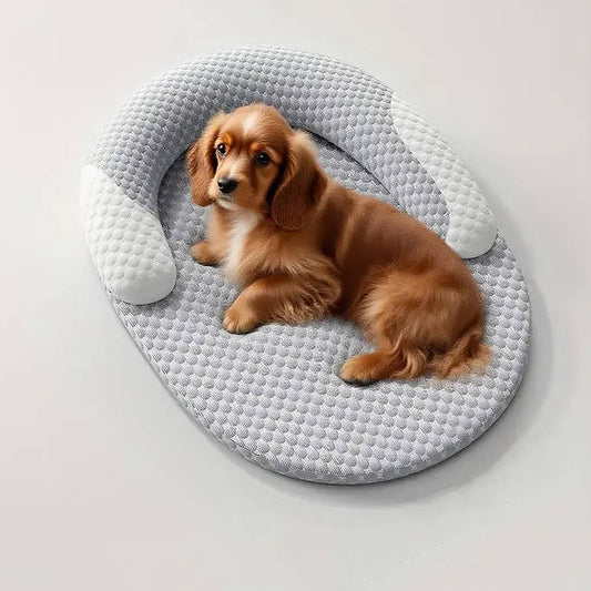 Cama de enfriamiento ortopédica para perros