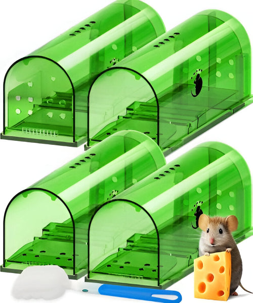 4-Pack Mouse Trap