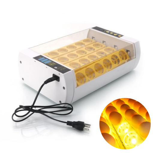 Incubadora de huevos Premium, incubadora automática de huevos de codorniz y pollo, 24 huevos