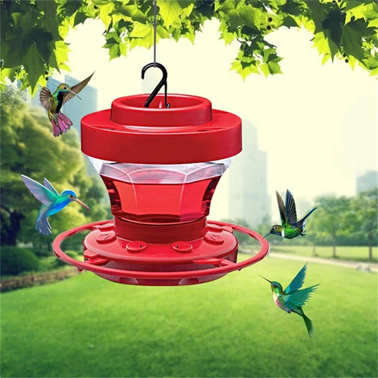 Mangeoires à eau suspendues pour colibris à l’épreuve des abeilles avec perchoir