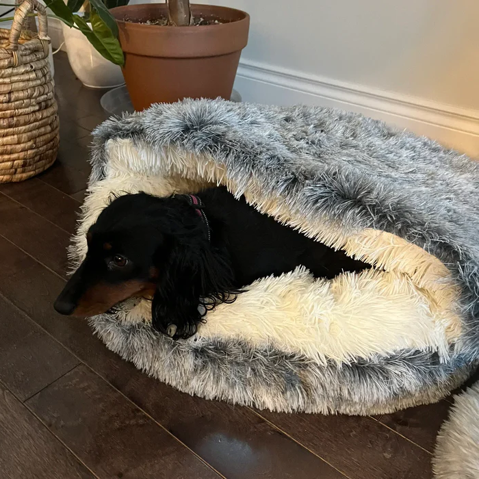 Gezellig huisdierbed voor honden en katten - SnuggleCave - Pluche comfort - Meerdere maten en kleuren
