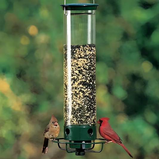 Mangeoire à oiseaux à l'épreuve des écureuils