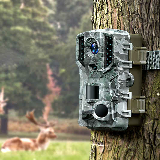 Caméra de suivi du jeu de la faune HD sans fil avec vision nocturne